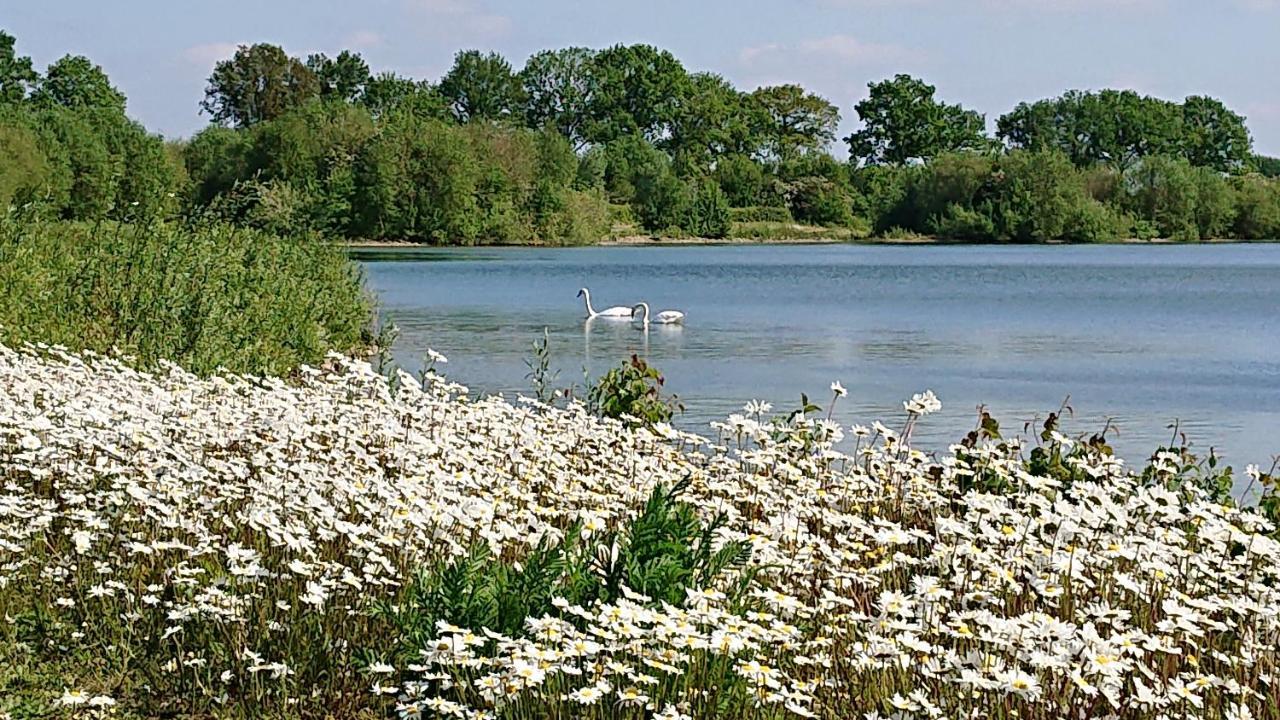 De Sprokkel Bed and Breakfast Milsbeek Buitenkant foto